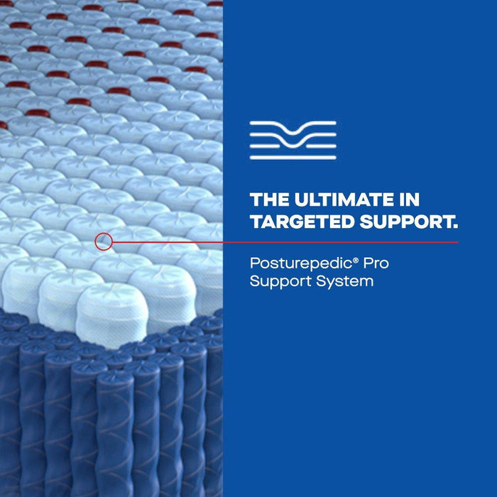 Sonterra Spring Mattress