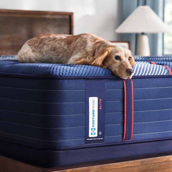 Albany II Spring Mattress
